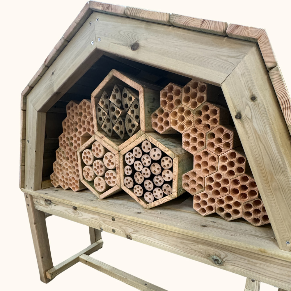 Bug Hotel Editted