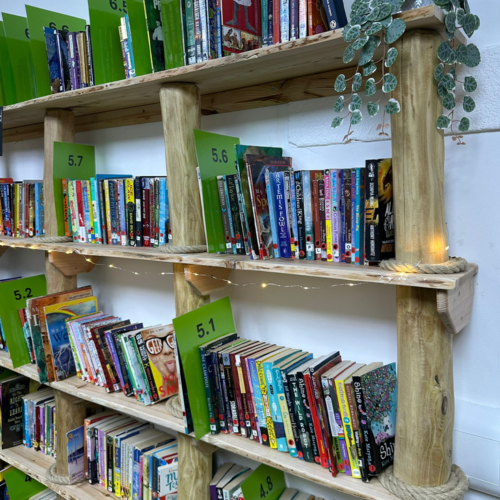 Bespoke Timber Bookshelves